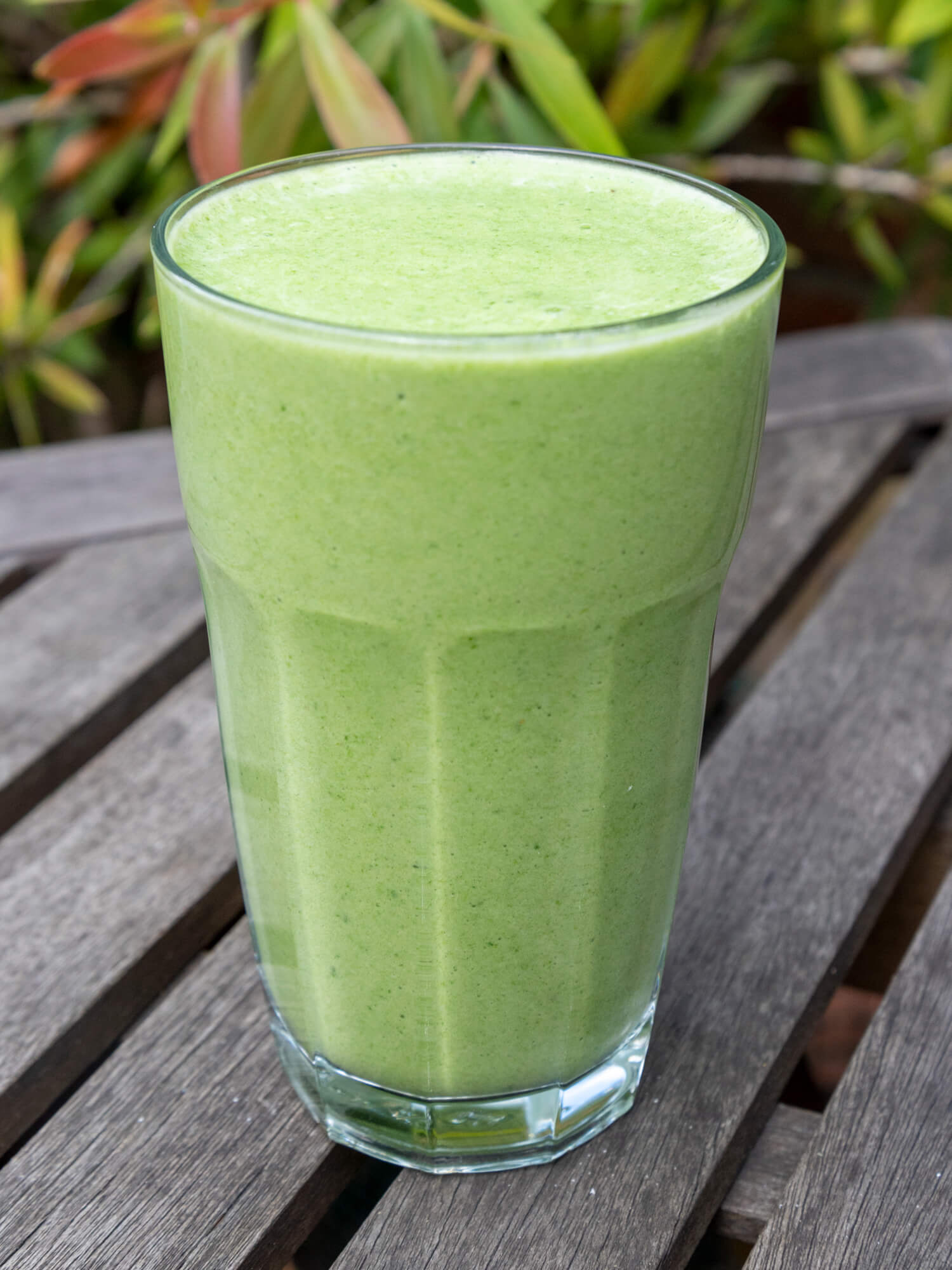 Green Protein Smoothie 